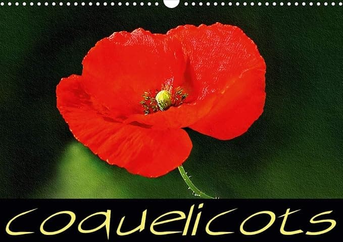 Coquelicots 2020: Serie de tableaux de fleurs de coquelicot (Calvendo Nature) (French Edition) - Calvendo Verlag GmbH