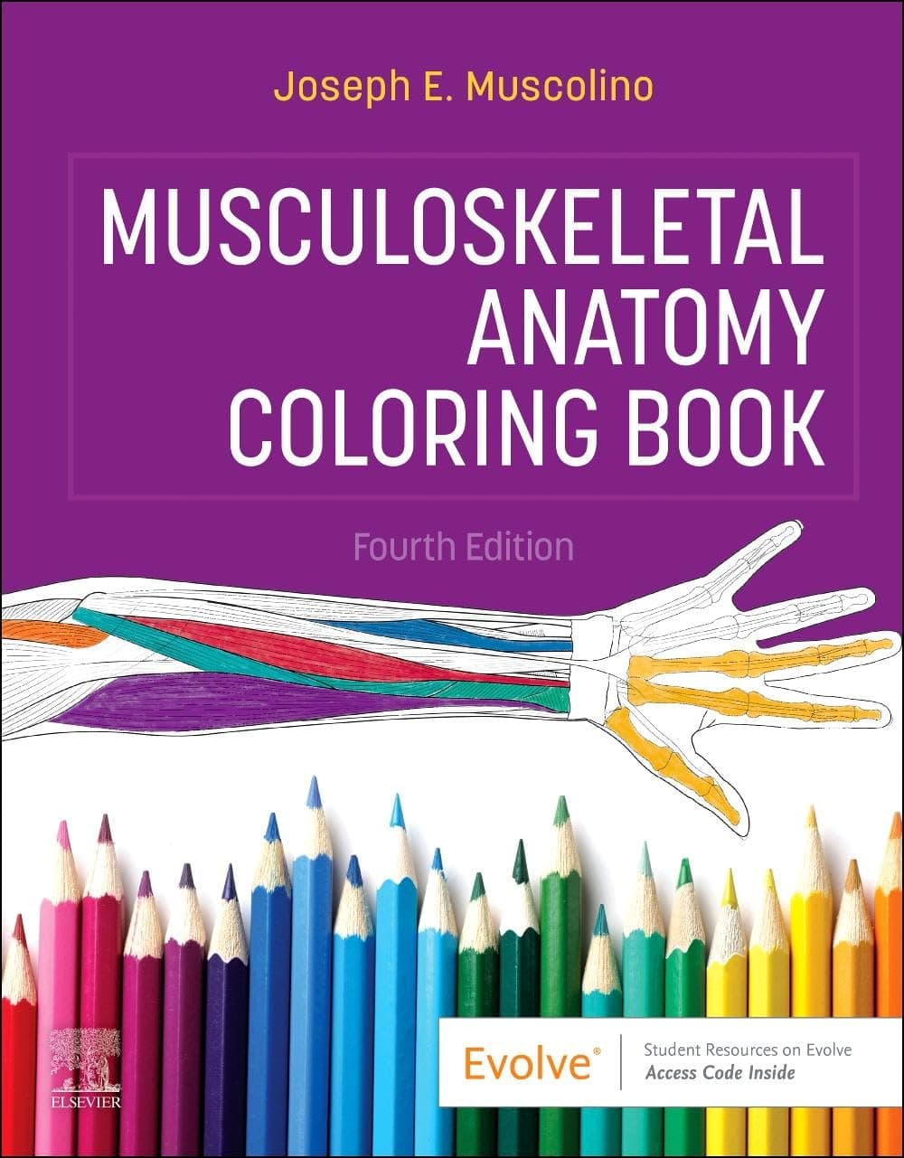Musculoskeletal Anatomy Coloring Book - Joseph E. Muscolino DC