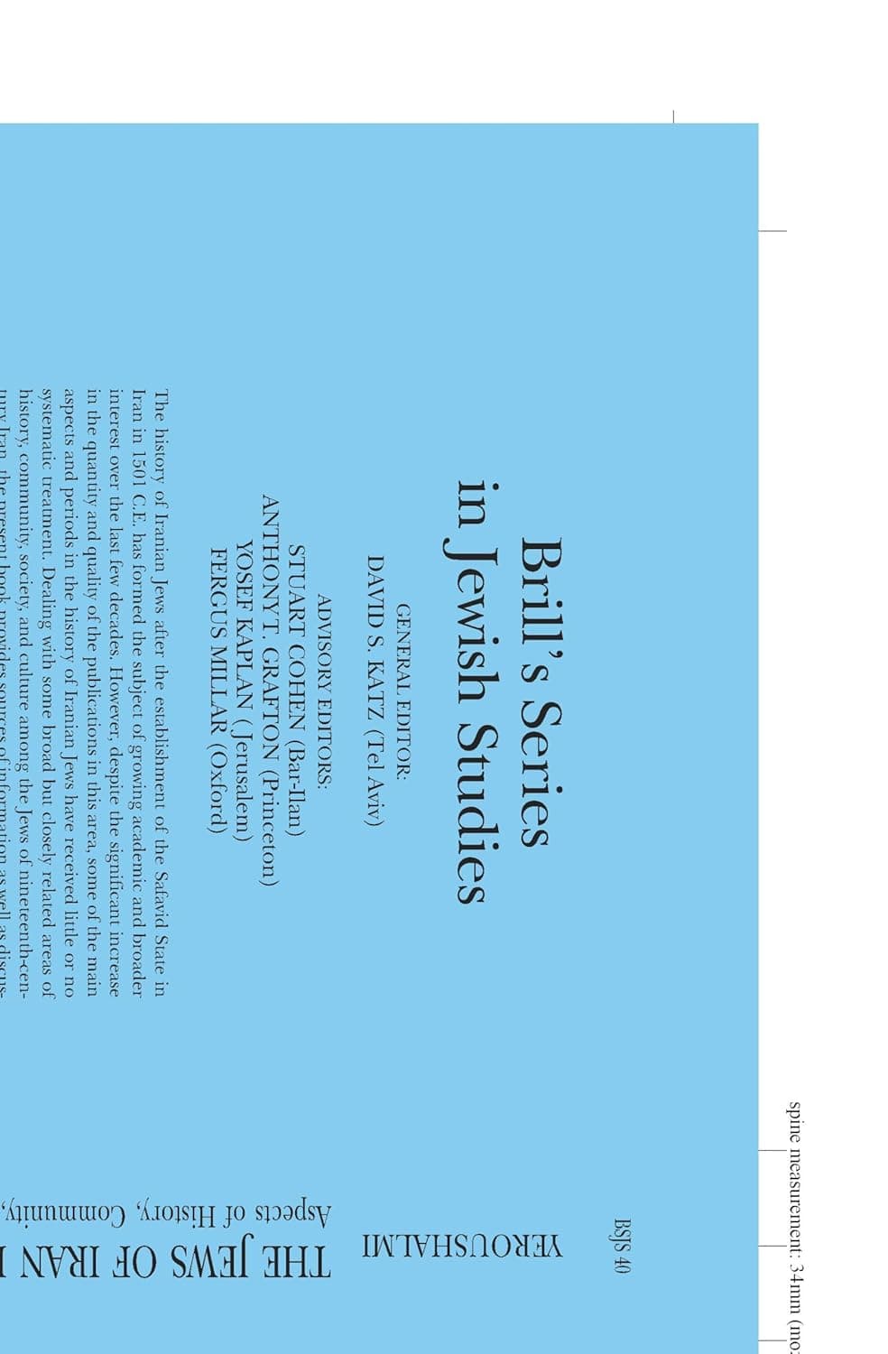 The Jews of Iran in the Nineteenth Century (paperback): Aspects of History, Community, and Culture (Brill's Series in Jewish Studies, 40) - David Yeroushalmi