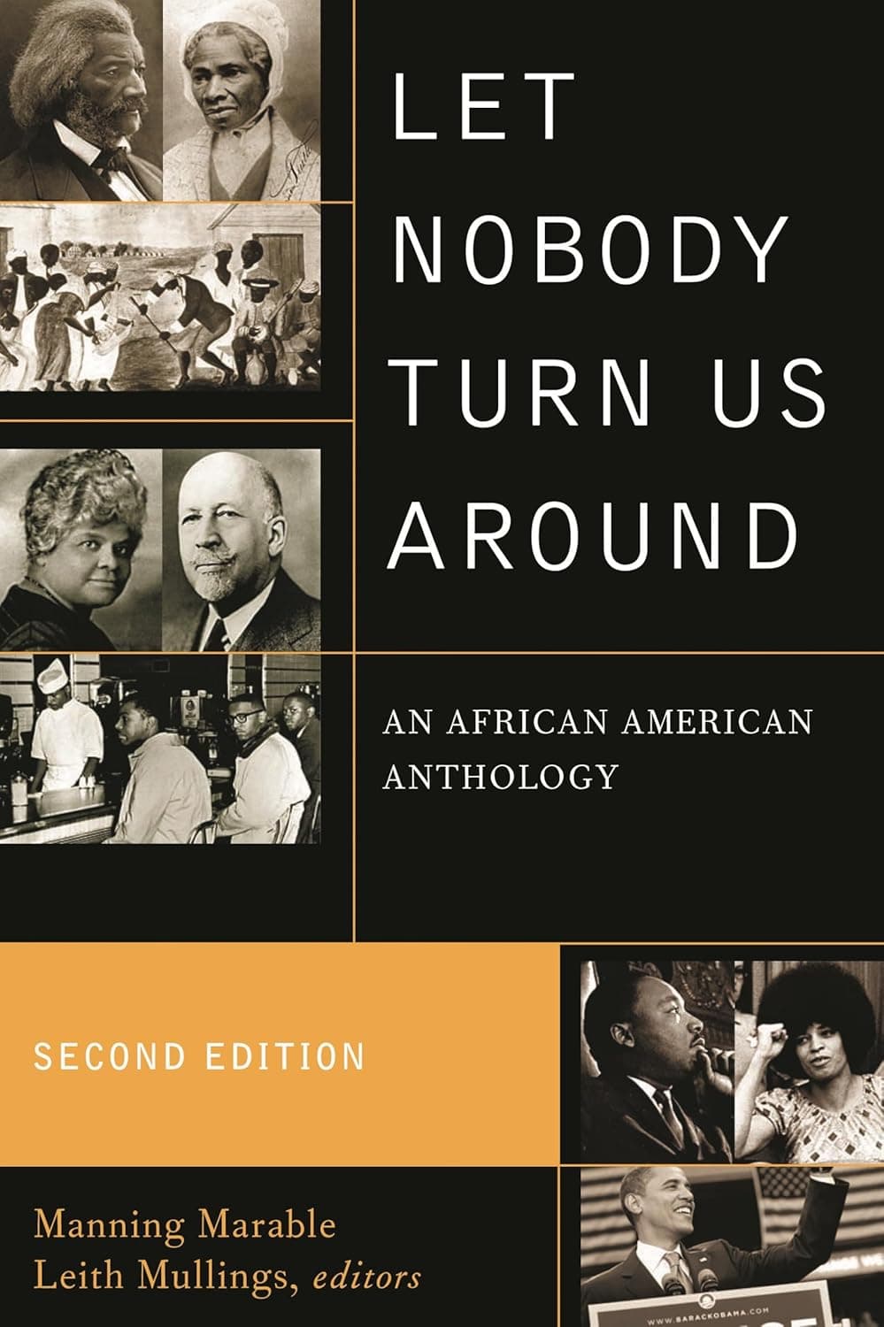 Let Nobody Turn Us Around: An African American Anthology