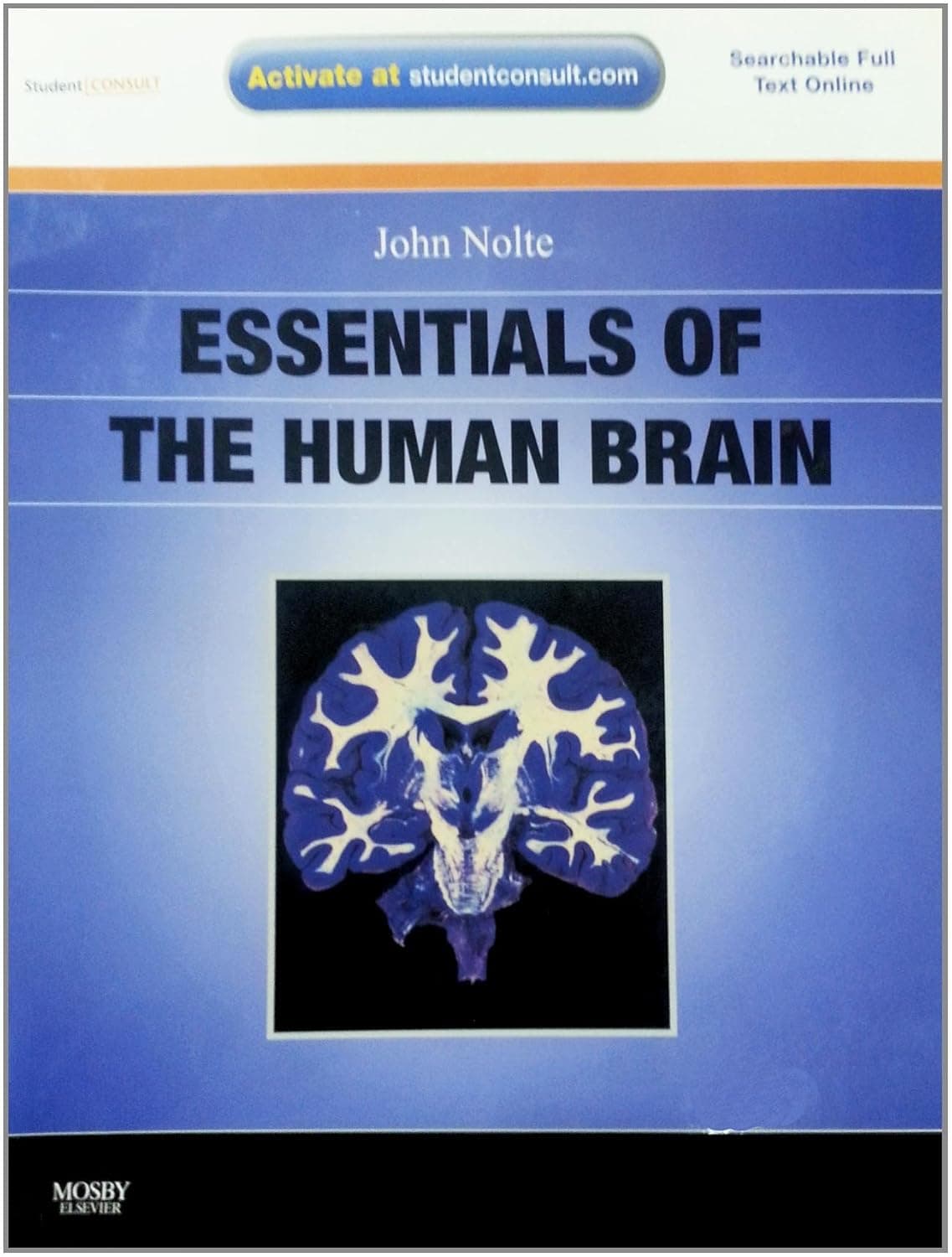 Essentials of the Human Brain: With STUDENT CONSULT Online Access