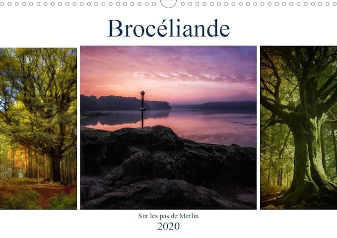 BROCELIANDE, sur les pas de Merlin 2020: Broceliande, sa magie, ses legendes, le roi Arthur, ses chevaliers et Merlin l'enchanteur (Calvendo Nature) (French Edition) - Calvendo Verlag GmbH