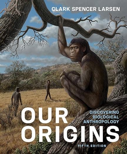 Our Origins: Discovering Biological Anthropology - Clark Spencer Larsen