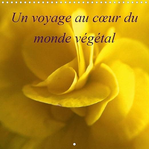 Un voyage au c ur du monde vegetal 2020: La nature photographiee au plus pres pour vous faire rever. (Calvendo Nature) (French Edition) - Calvendo Verlag GmbH