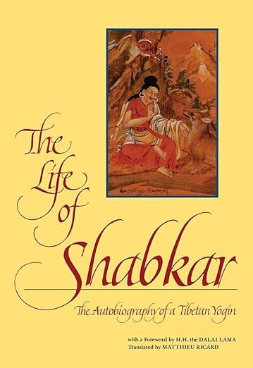 The Life of Shabkar: The Autobiography of a Tibetan Yogin (Buddhist Studies (Dis)) - Matthieu Ricard