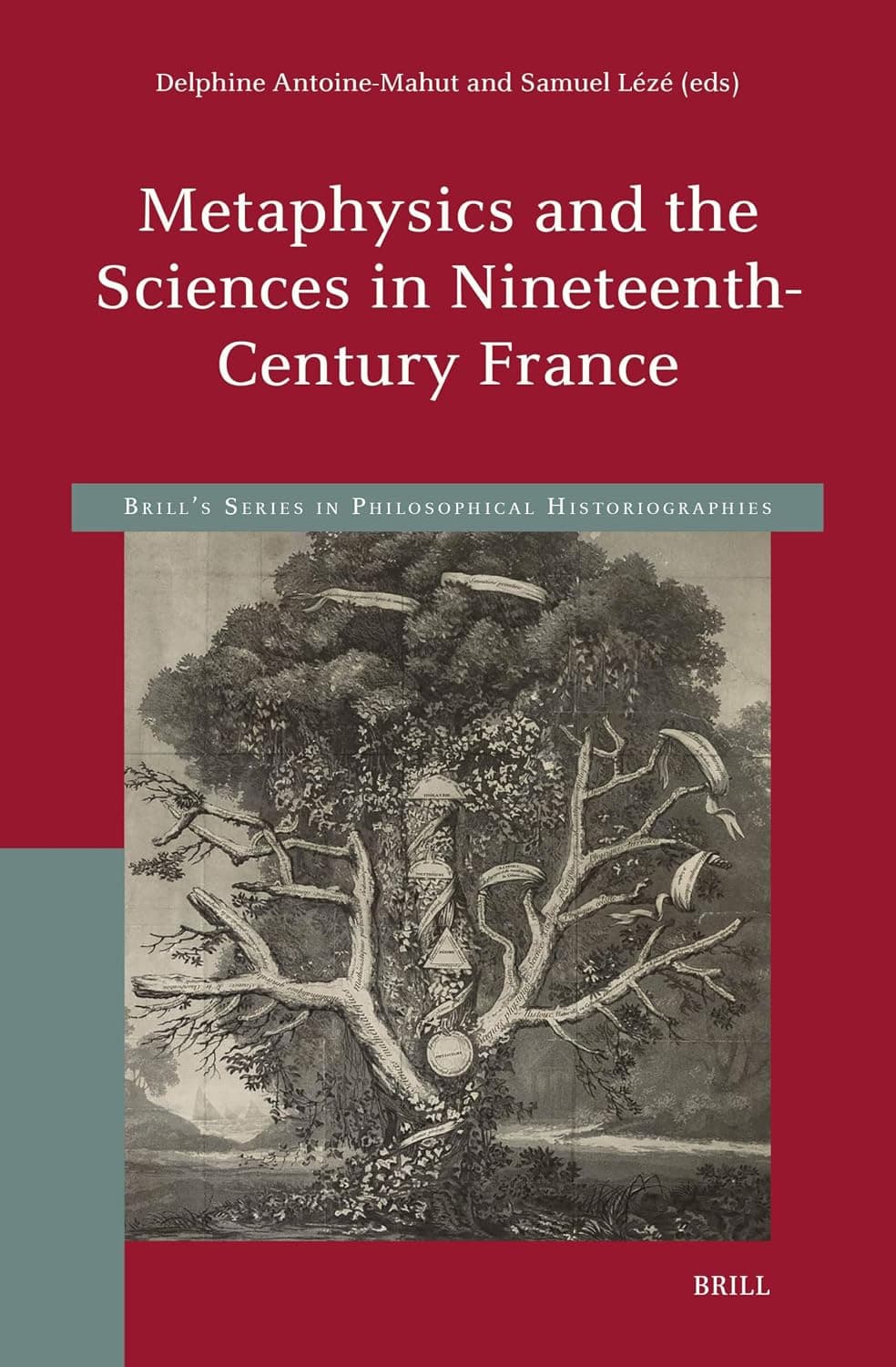 Metaphysics and the Sciences in Nineteenth-Century France (Brill's Series in Philosophical Historiographies, 3) - Delphine