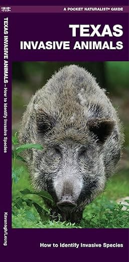 Texas Invasive Animals (Nature Observation North America) - Waterford Press Waterford Press
