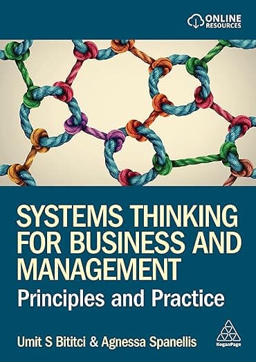 Systems Thinking for Business and Management: Principles and Practice - Kogan Page