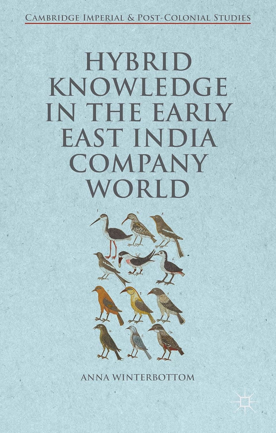 Hybrid Knowledge in the Early East India Company World (Cambridge Imperial and Post-Colonial Studies) - Anna Winterbottom