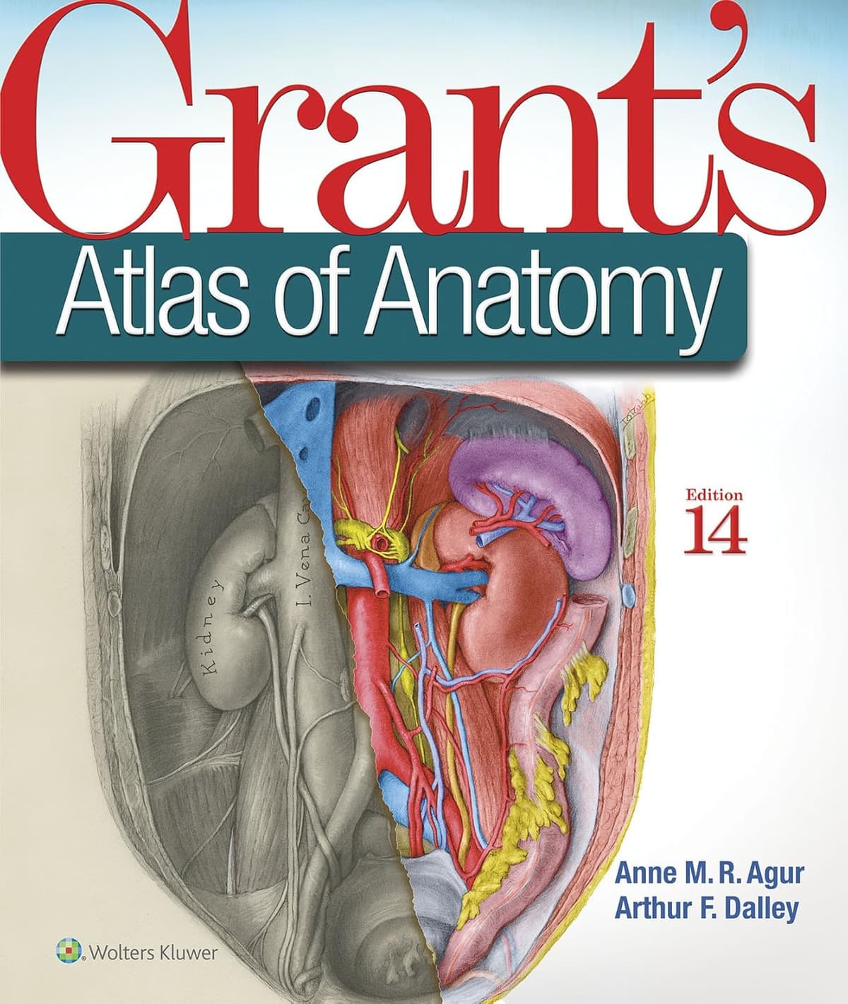 Grant's Atlas of Anatomy - Anne M. R. Agur BSc(OT)  MSc  PhD