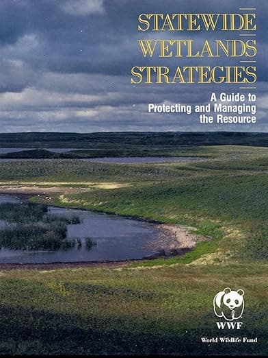 Statewide Wetlands Strategies - Island Press