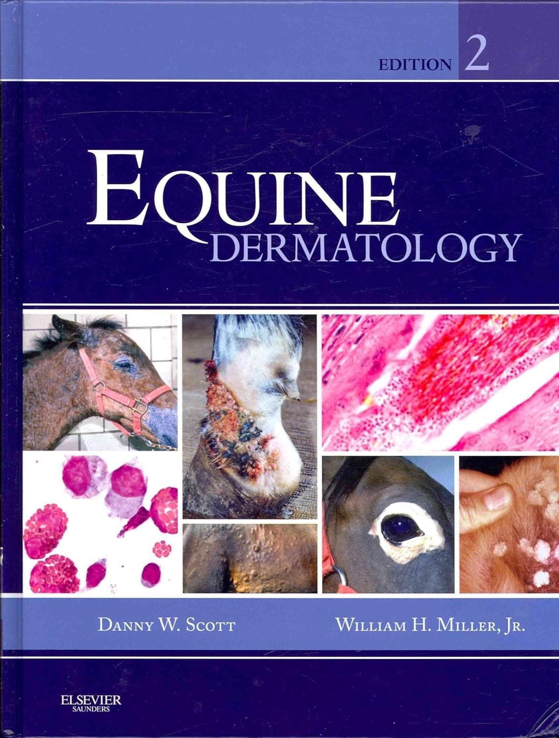 Equine Dermatology - Saunders