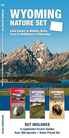 Wyoming Nature Set: Field Guides to Wildlife, Birds, Trees & Wildflowers of Wyoming (Nature Observation North America) - Waterford Press Waterford Press