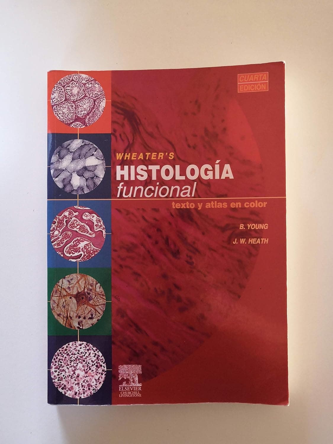 Wheater's. Histología Funcional + CD-ROM en inglés: Texto y atlas en color (Spanish Edition) - Barbara Young BSc  Med Sci (Hons)  PhD  MB  BChir  MRCP  FRCPA