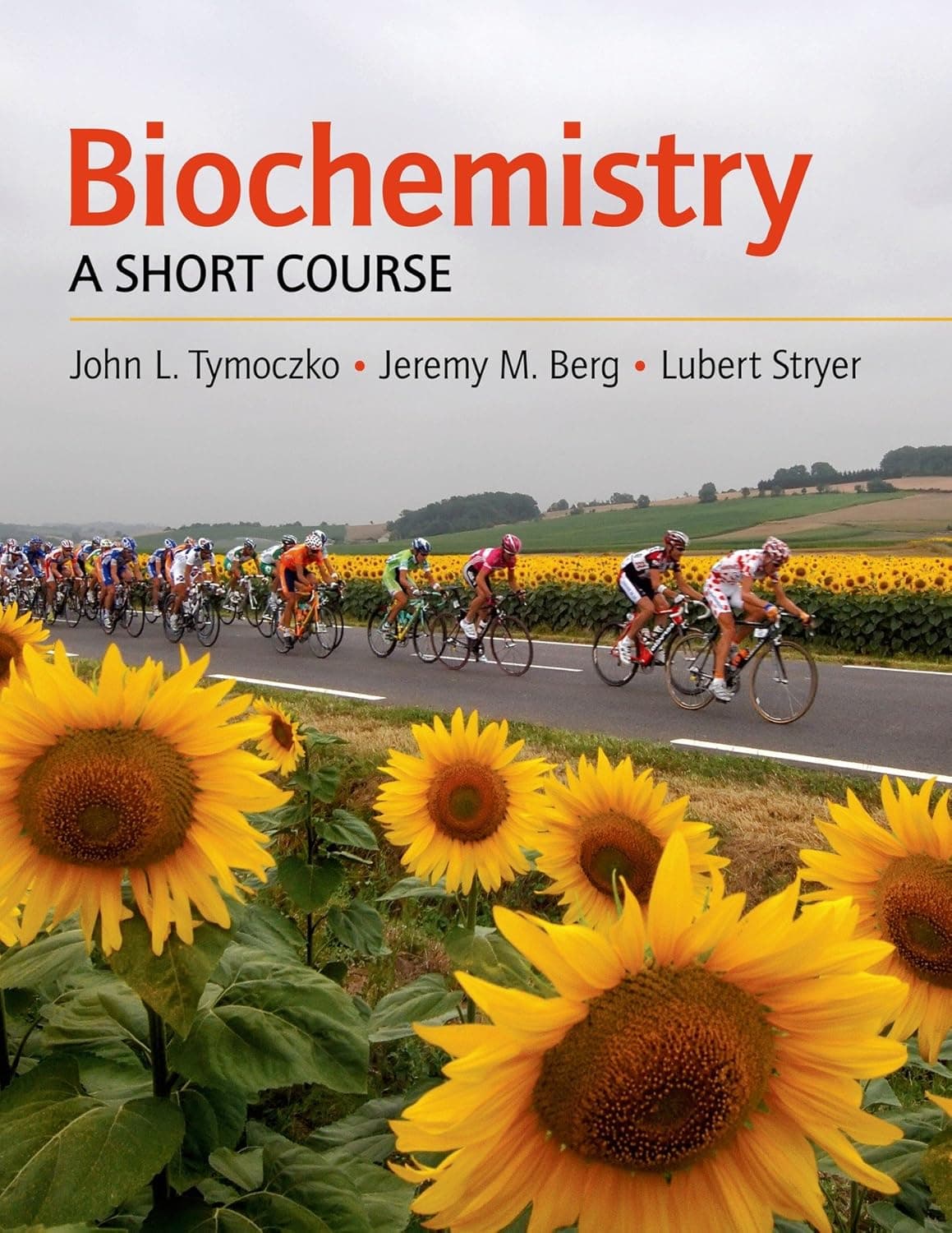 Biochemistry: A Short Course