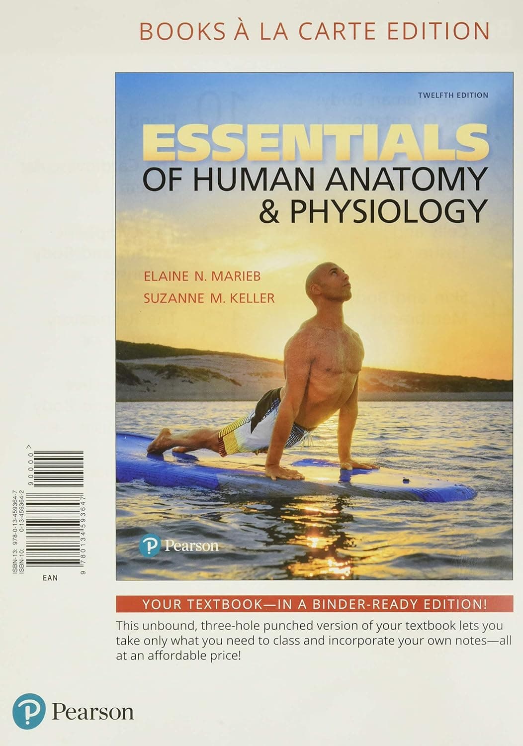 Essentials of Human Anatomy & Physiology