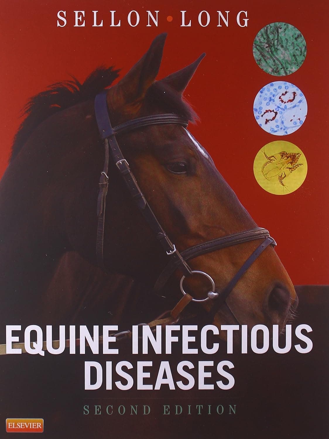 Equine Infectious Diseases - Saunders