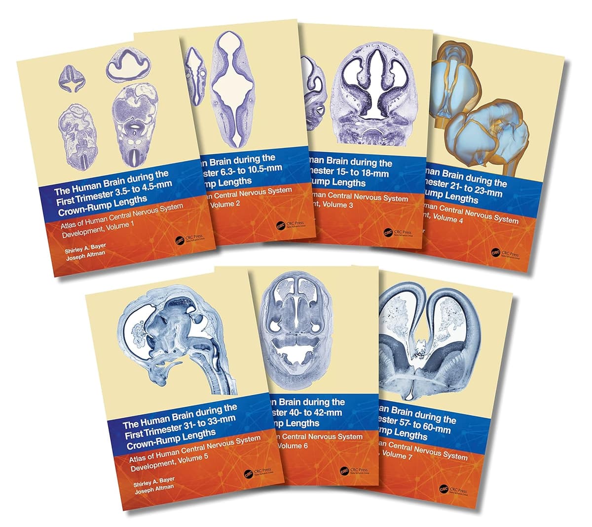 The Human Brain During the First Trimester: Atlas of Human Central Nervous System Development, Volume 1-7 - Shirley A. Bayer