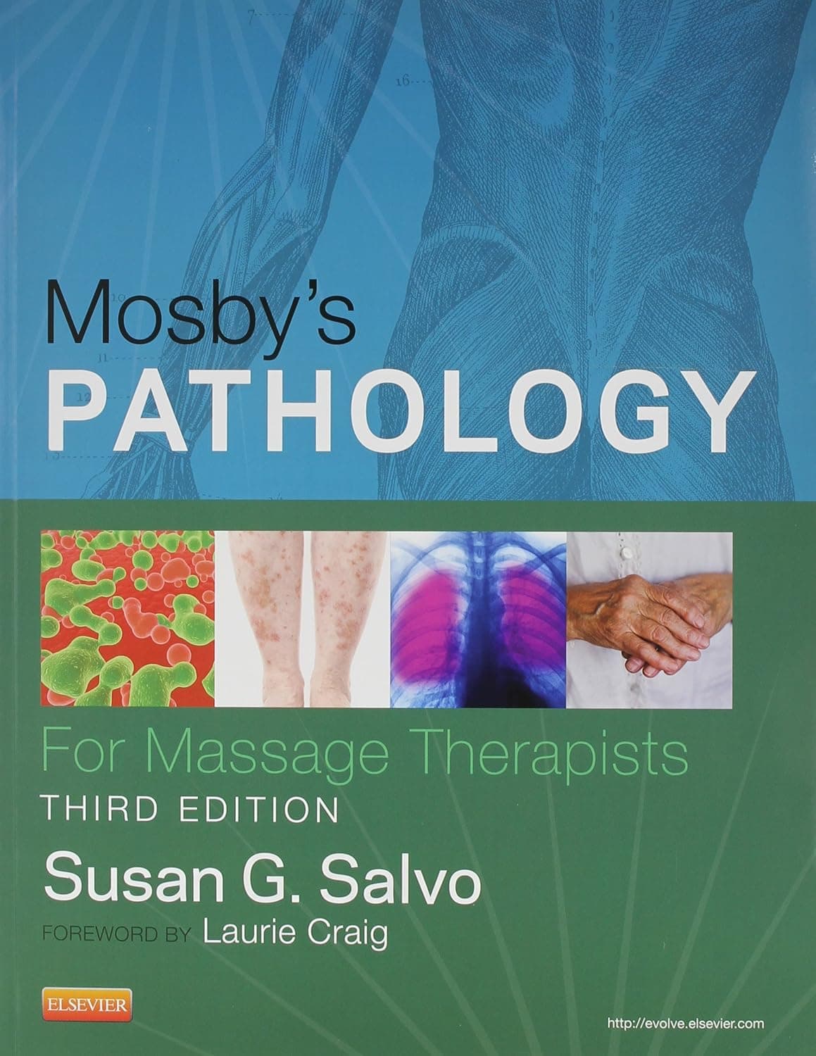 Massage Online for Mosby's Pathology for Massage Therapists (Access Code and Textbook Package)
