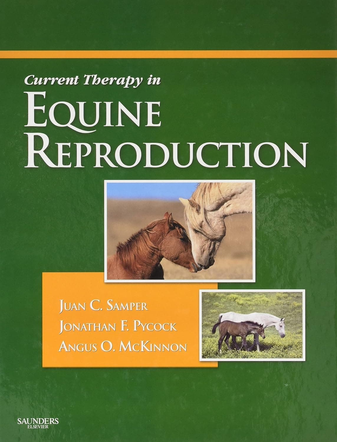 Current Therapy in Equine Reproduction (Current Veterinary Therapy) - Saunders