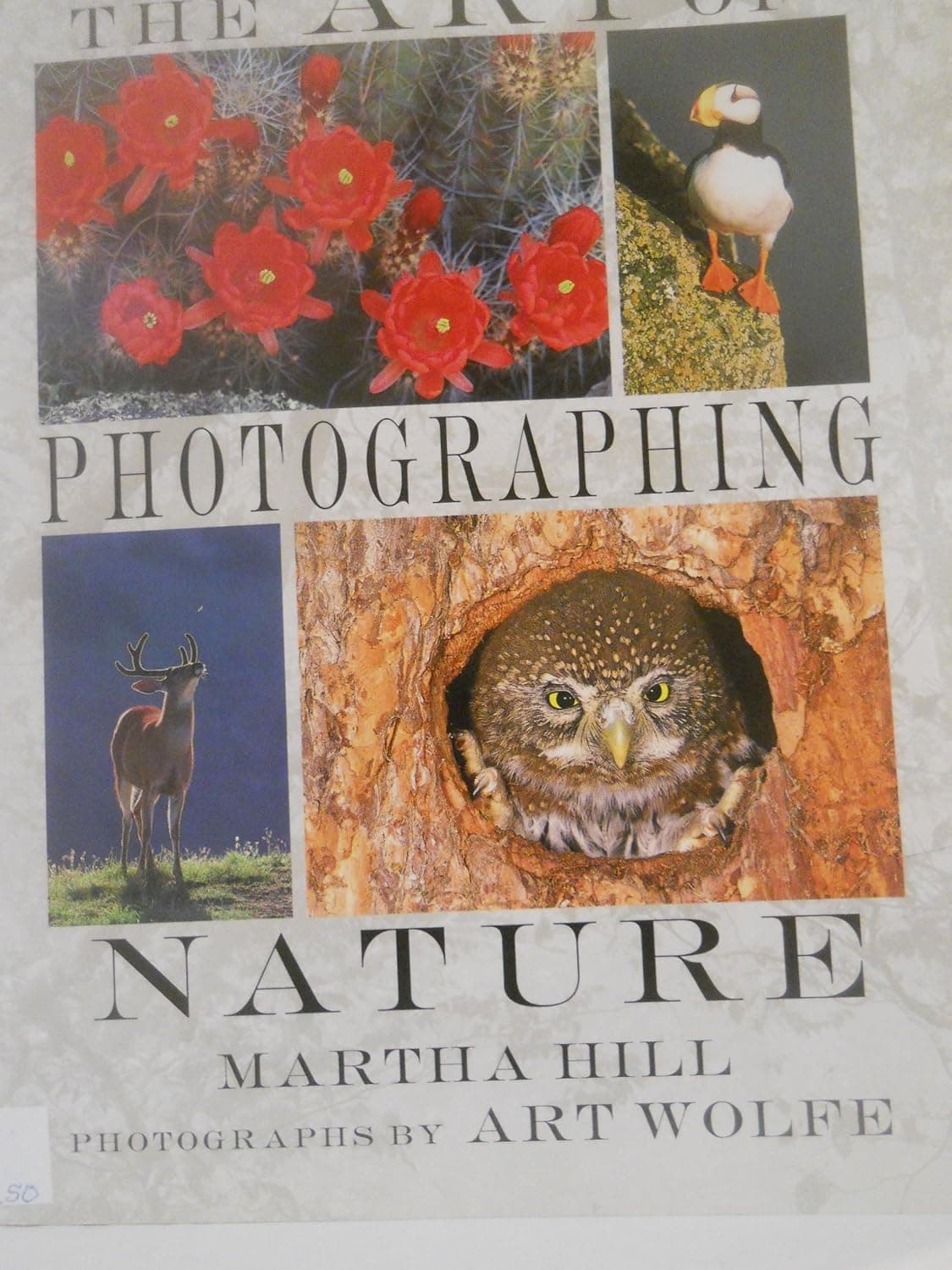 The Art of Photographing Nature - Art Wolfe