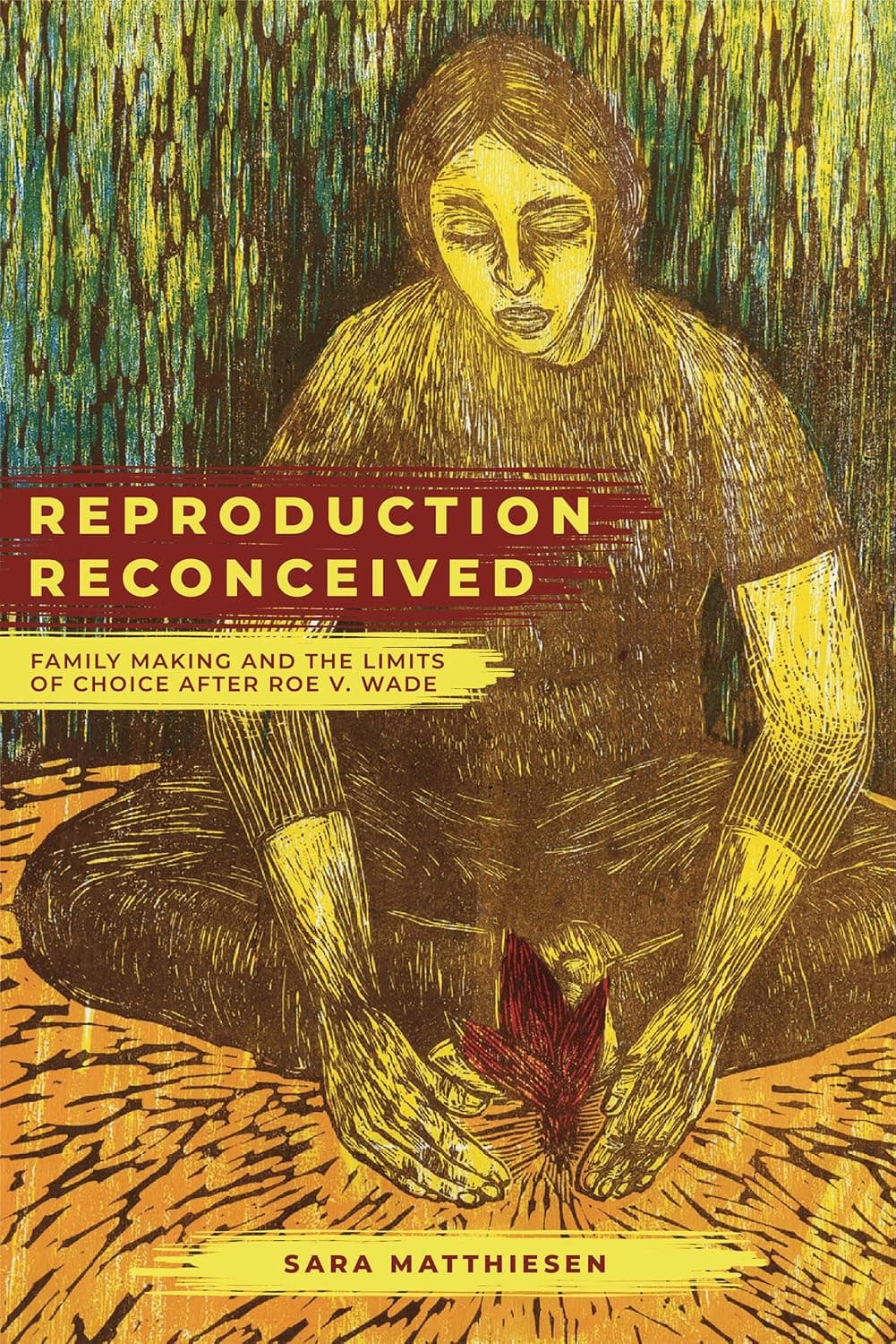 Reproduction Reconceived: Family Making and the Limits of Choice after Roe v. Wade (Reproductive Justice: A New Vision for the 21st Century) (Volume 5) - University of California Press