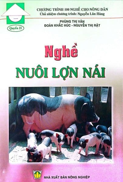 Nghề Nuôi Lợn Nái