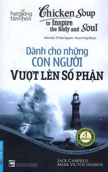 Chicken Soup For The Soul - Dành Cho Những Con Người Vượt Lên Số Phận - Việt Chi