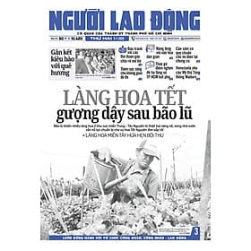 Nhật báo Người Lao Động từ ngày 05-01-2026 đến 11-01-2026 - Lão Ngư