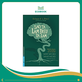 Sách Sao ta làm điều ta làm - Edward L Deci - ED