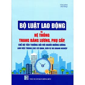 Sách Bộ Luật Lao Động Chính Sách Tiền Lương Tiền Thưởng Đối Với Công Chức Viên Chức và Người Lao Động - Lão Ngư