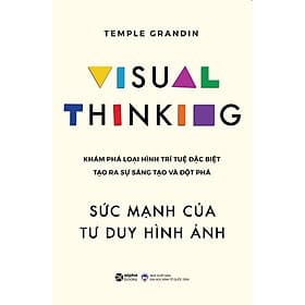Sách Sức Mạnh Của Tư Duy Hình Ảnh - Nhà Xuất Bản Đại Học Kinh Tế Quốc Dân