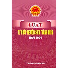 Luật Tư Pháp Người Chưa Thành Niên Năm 2024 - Đàn Thanh