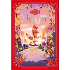 How To Find A Dragon - A Nam