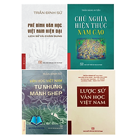 Combo 4 cuốn phê bình văn học + chủ nghĩa hiện thực + văn học từ những mảnh ghép + lược sử văn học VN - Bình