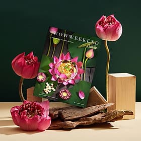 WOWWEEKEND CUISINE 04 - TINH HOA ẨM THỰC VIỆT - WOW