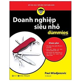 Sách Doanh Nghiệp Siêu Nhỏ (for Dummies)