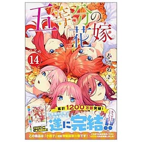 The Quintessential Quintuplets 14 (Japanese Edition) - ED