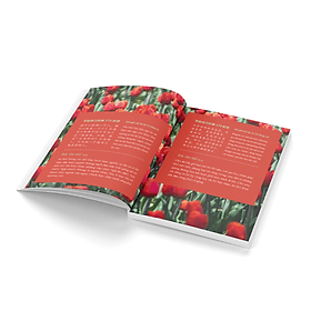 999 Lá Thư Gửi Cho Chính Mình - Những Lá Thư Ấn Tượng Nhất - Tập 2