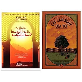 Combo 2 cuốn văn học kinh điển về những số phận khắc khổ: Ngàn Mặt Trời Rực Rỡ + Cây Cam Ngọt Của Tôi - Nhã Nam