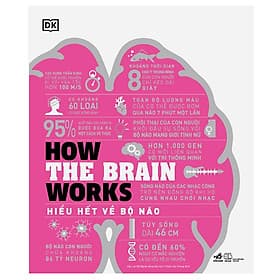 Sách How The Brain Works - Hiểu Hết Về Bộ Não - DK