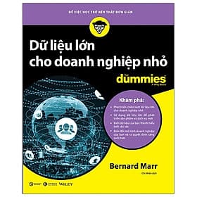 Dữ Liệu Lớn Cho Doanh Nghiệp Nhỏ For Dummies - Do
