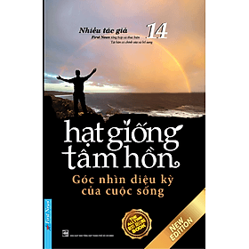 Sách Hạt Giống Tâm Hồn 14 - Góc Nhìn Diệu Kỳ Của Cuộc Sống - Hạ