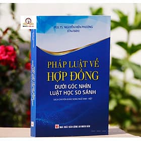 Pháp Luật Về Hợp Đồng Dưới Góc Nhìn Luật Học So Sánh (Sách chuyên khảo song ngữ Anh - Việt) - Việt An