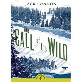 Tiểu thuyết thiếu niên tiếng Anh: The Call Of The Wild - Usborne Publishing Ltd