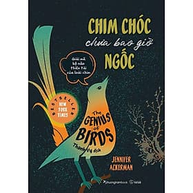 Sách Chim Chóc Chưa Bao Giờ Ngốc - Giải Mã Bộ Não Thiên Tài Của Loài Chim - Phương Phương