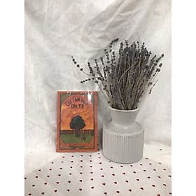 Cây cam ngọt của tôi - Nhã Nam