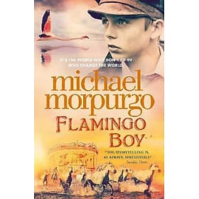 Flamingo Boy - Collins Dictionaries