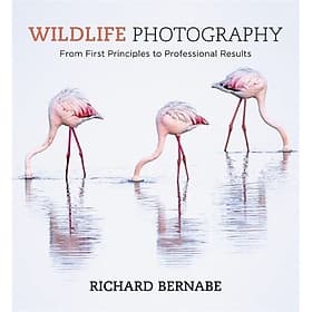 Wildlife Photography by Richard Bernabe - From First Principles To Professional Results
