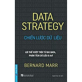 Chiến Lược Dữ Liệu - Bản Quyền - Việt Chi